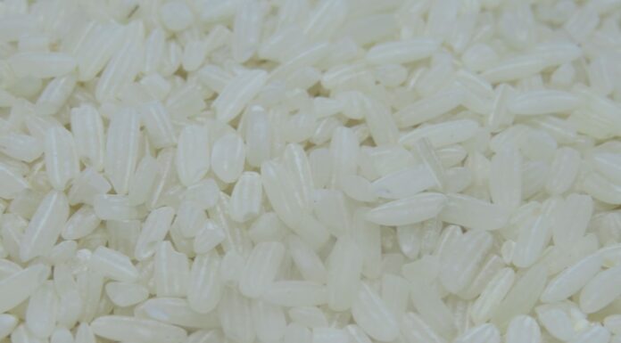 Persediaan Melimpah, Kok Beras Premium Langka di Ritel Modern beras premium kemasan 5 kg langka