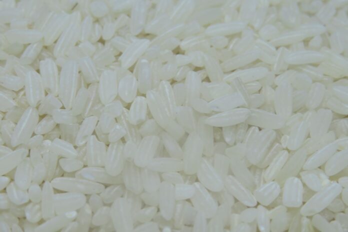 Agrikan.id, beras beras premium kemasan 5 kg langka