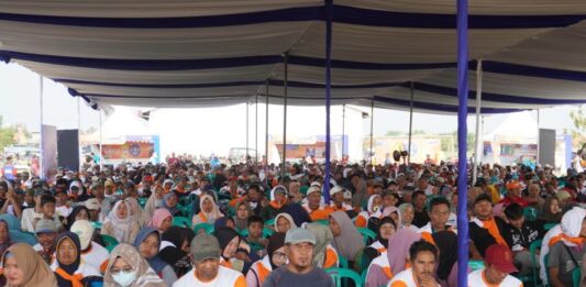 BASF Perkuat Dukungan Kepada Petani Bawang Merah Melalui Cimegra Cimegra bantu petani bawang merah hadapi hama